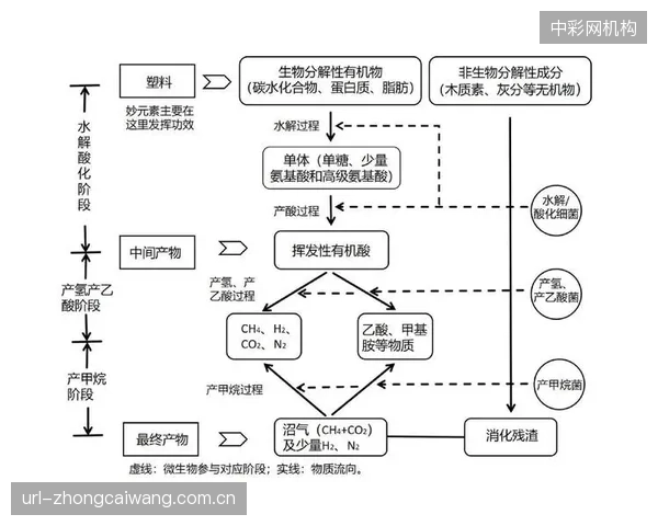 多数水上赛事的环境评估报告,都选择性忽略了赛事活动产生的微塑料污染问题 多数水上赛事的环境评估报告,都选择性忽略了赛事活动产生的微塑料污染问题